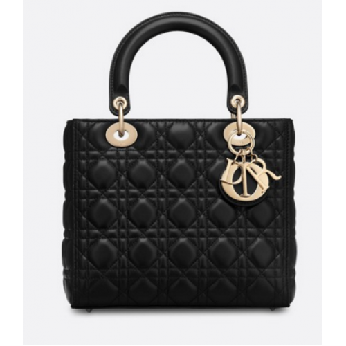 LADY DIOR-TAS VAN LAMSLEER CAL44550 FEKETE