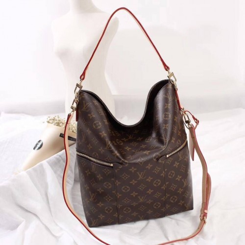Louis Vuitton Monogram Vászon 41544